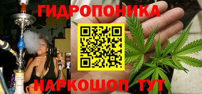 стафф Ставрополь