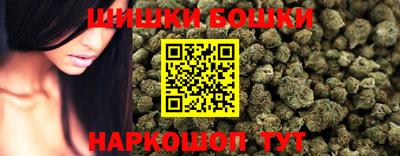стафф Ставрополь