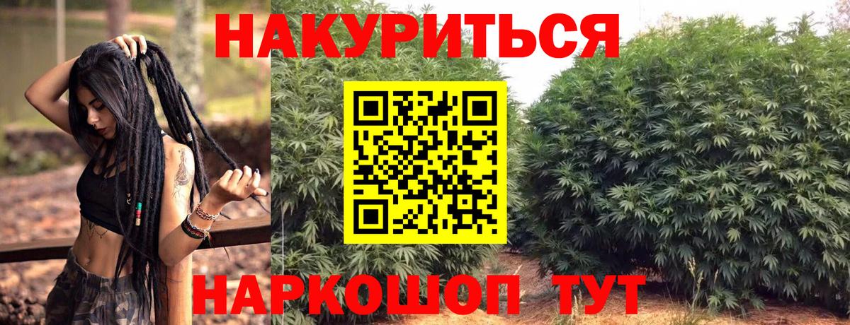 Каннабис OG Kush Родники